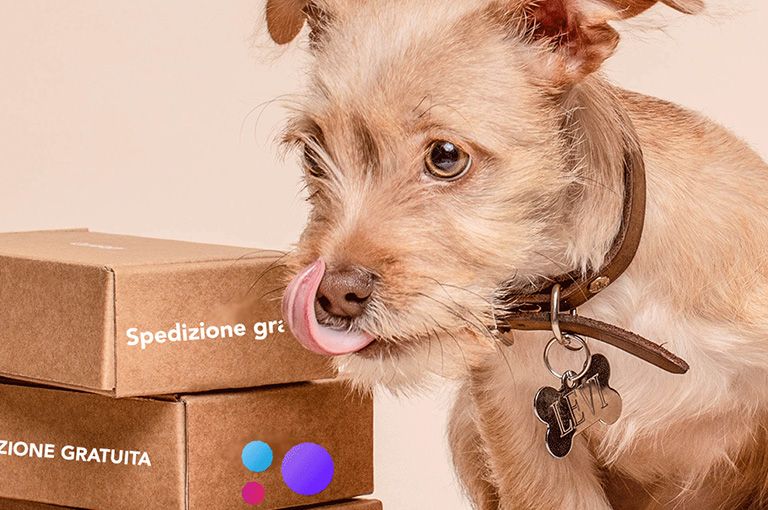palloncini-spedizione-gratis.gif